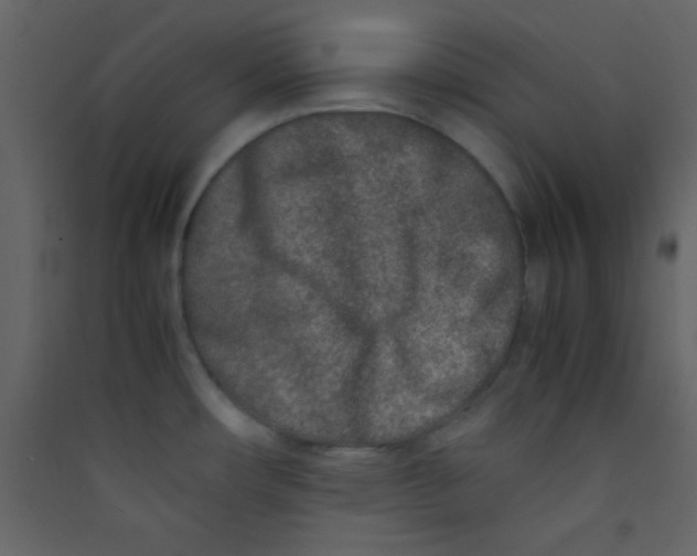 X0000089431482200707131833