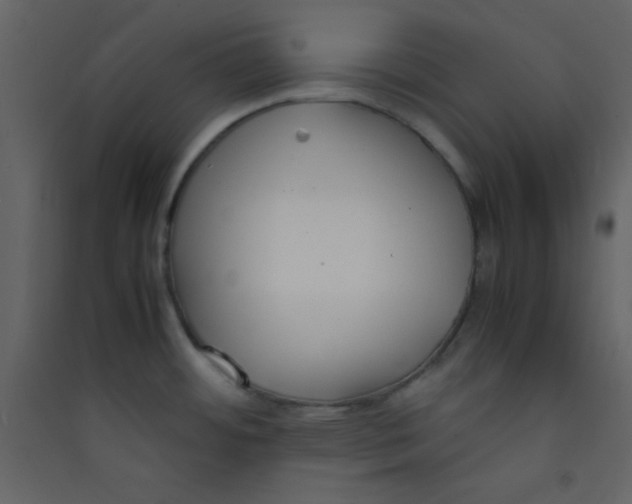 X0000089431484200707131833