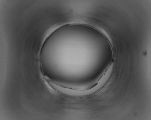 X0000089431485200707131833