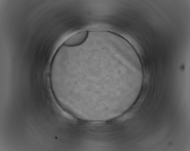 X0000089431486200707131833