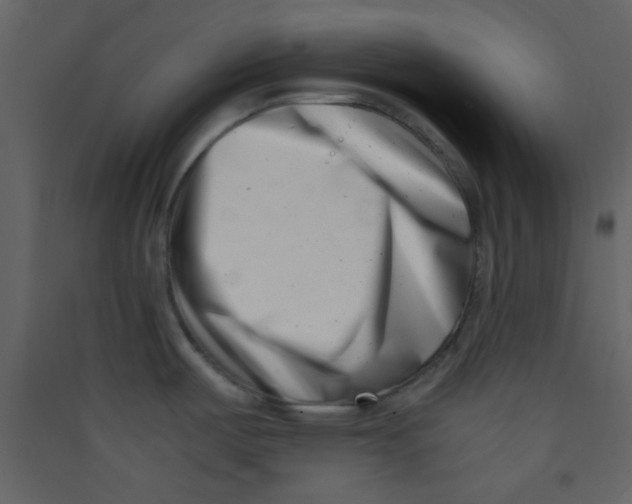 X0000089431487200707131833