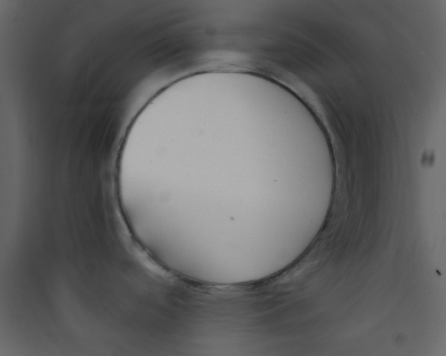 X0000089431488200707131833