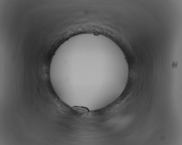 X0000089431490200707131832