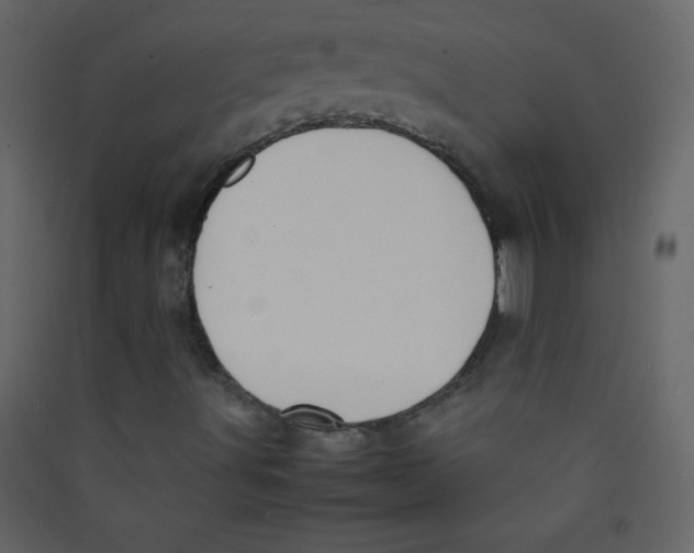 X0000089431491200707131832