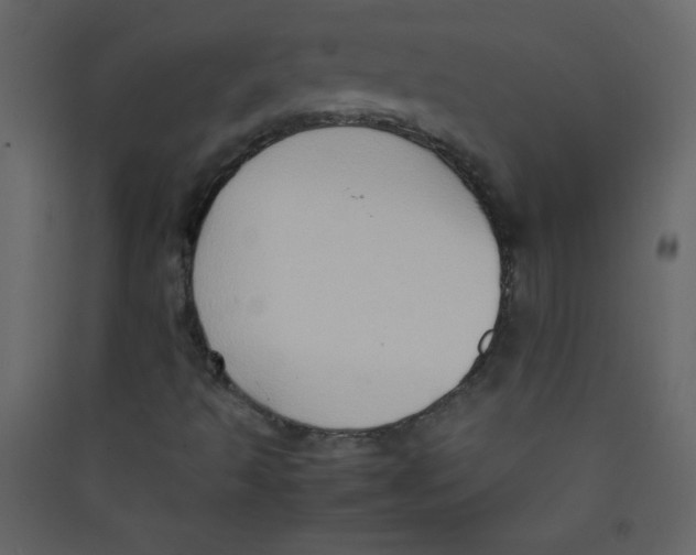 X0000089431493200707131832