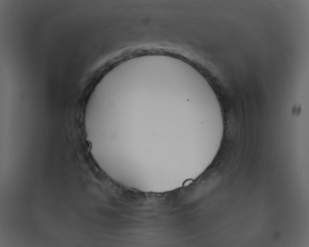 X0000089431494200707131832