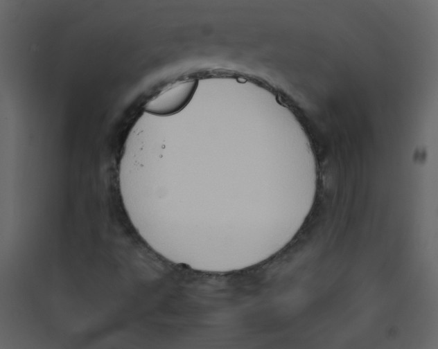 X0000089431495200707131832