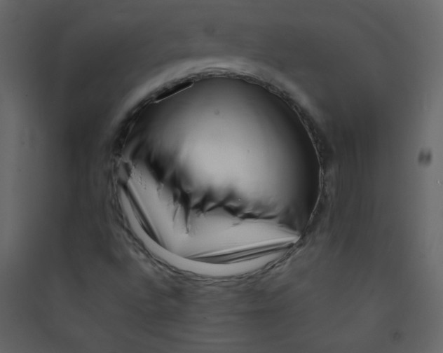 X0000089431496200707131832