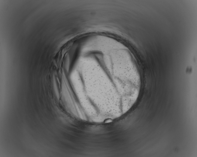 X0000089431497200707131832