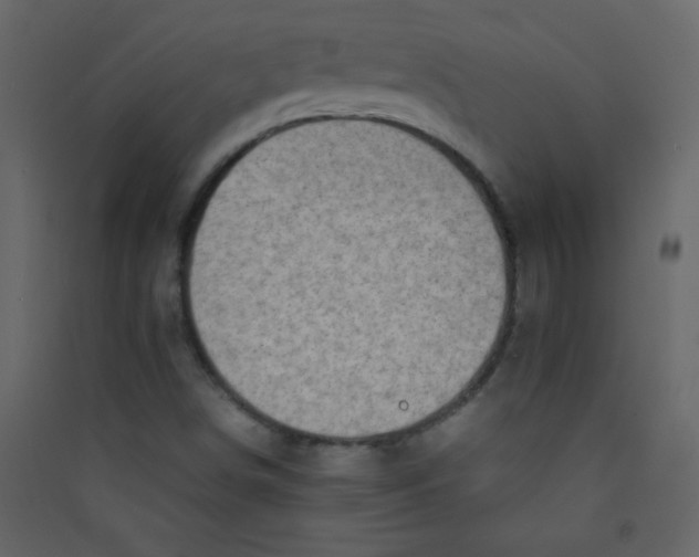 X0000089431498200707131832