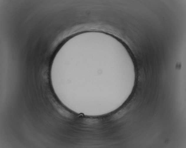 X0000089431499200707131832