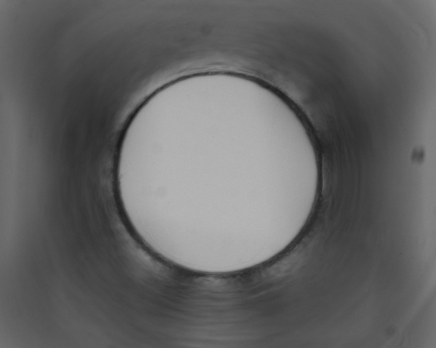 X0000089431500200707131832