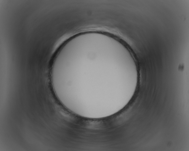 X0000089431501200707131832