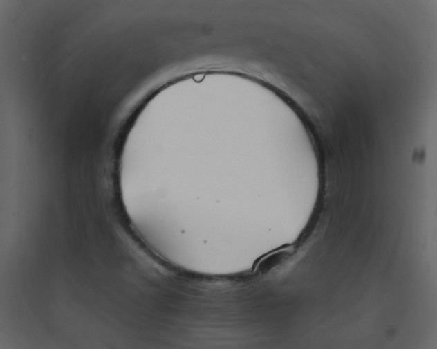 X0000089431502200707131833