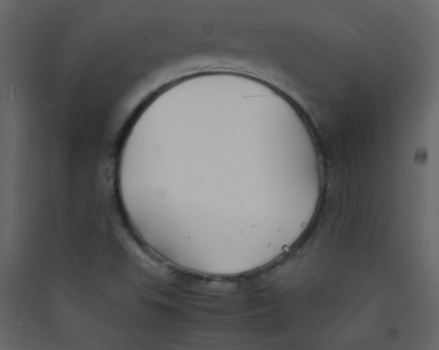 X0000089431503200707131833