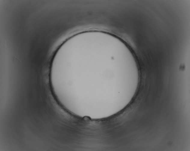 X0000089431504200707131833