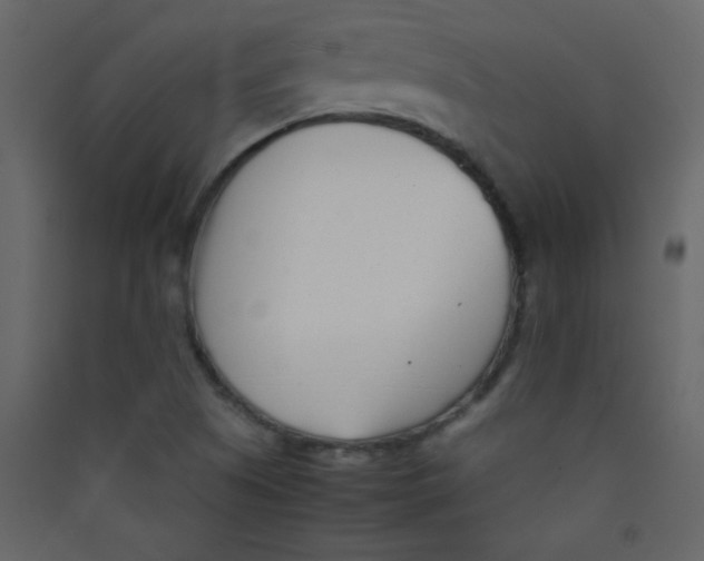 X0000089431505200707131833