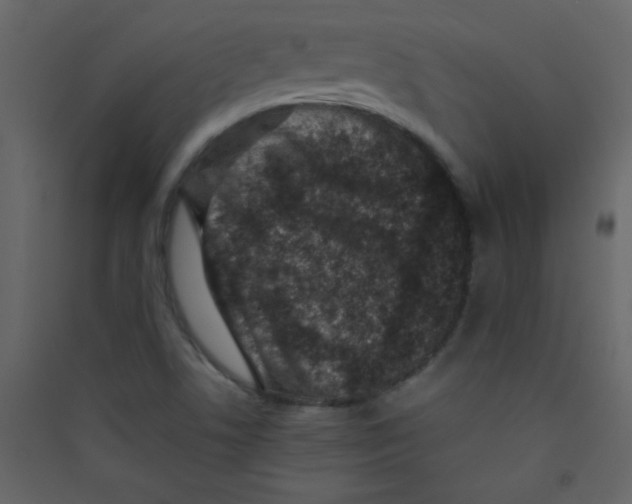 X0000089431506200707131833