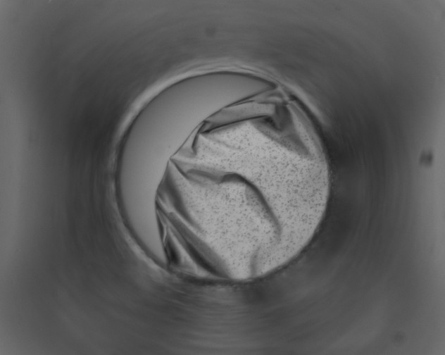 X0000089431508200707131833