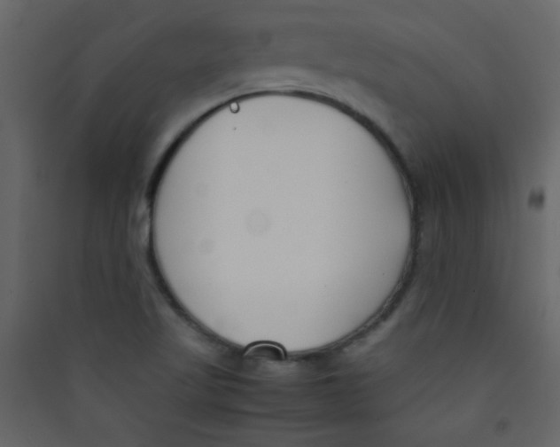 X0000089431509200707131833