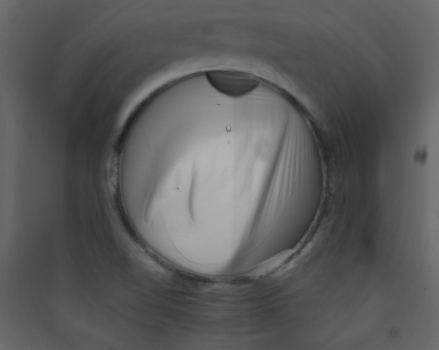 X0000089431510200707131833