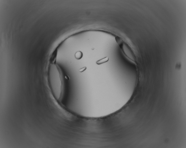 X0000089431512200707131833