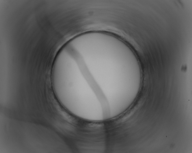 X0000089431513200707131833