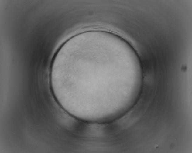 X0000089431514200707131833