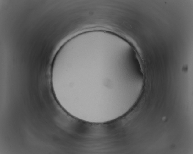 X0000089431516200707131833