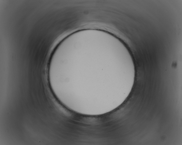 X0000089431517200707131833