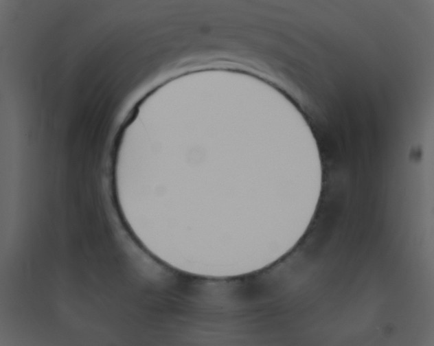 X0000089431518200707131833