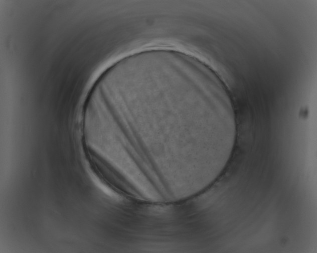 X0000089431519200707131833