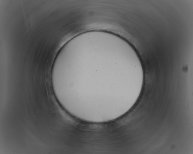 X0000089431521200707131833