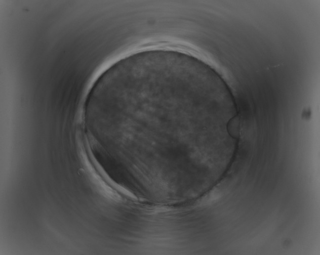 X0000089431522200707131833