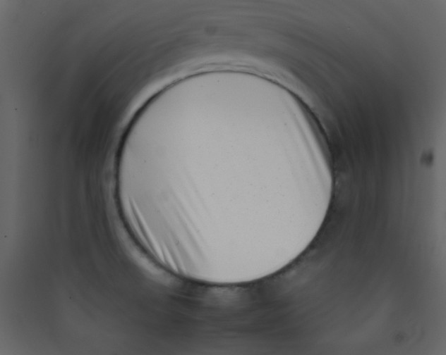 X0000089431523200707131833