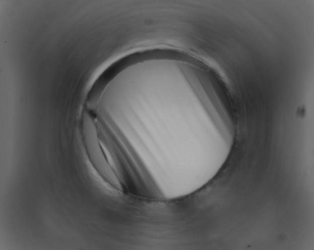 X0000089431524200707131833