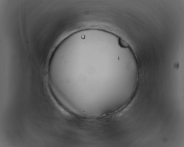 X0000089431525200707131833