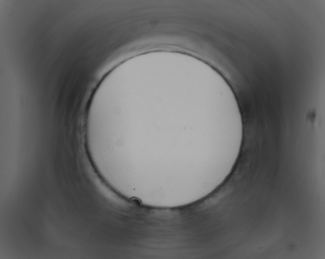 X0000089431526200707131833