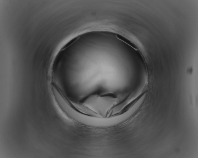 X0000089431528200707131833