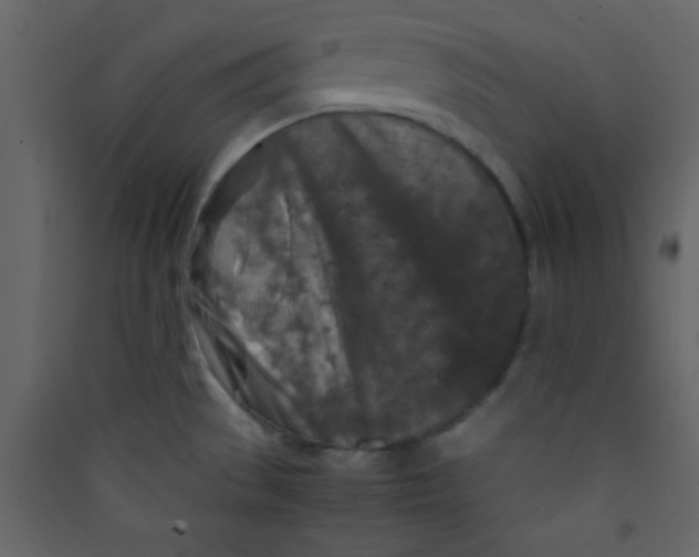 X0000089431529200707131833