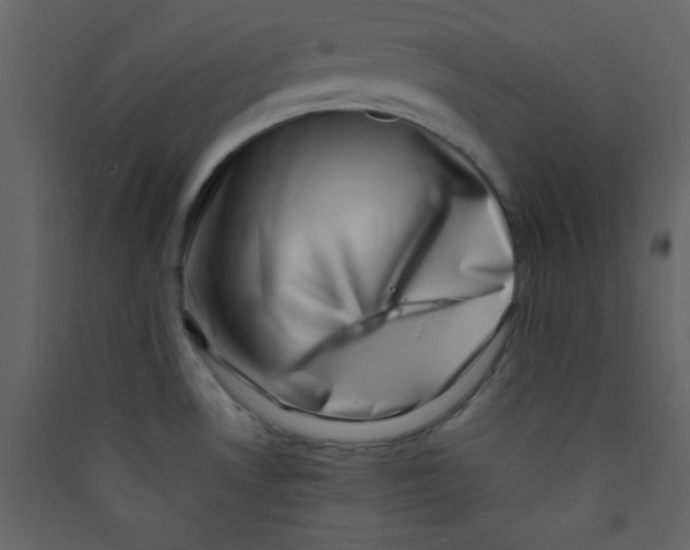 X0000089431530200707131833