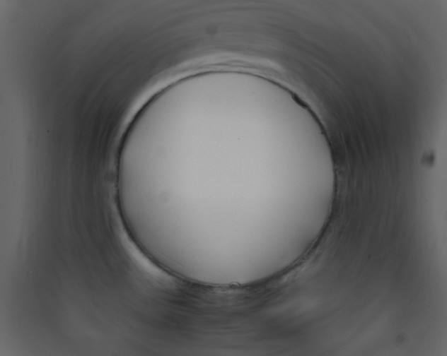 X0000089431531200707131833