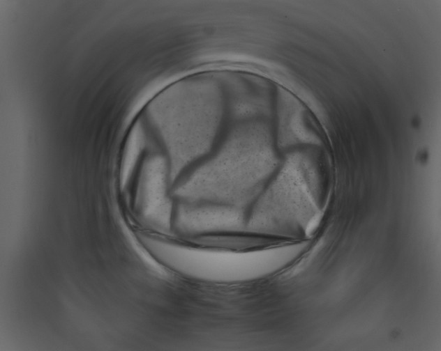 X0000089431533200707131833