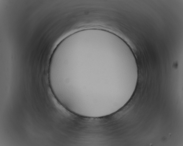 X0000089431534200707131833