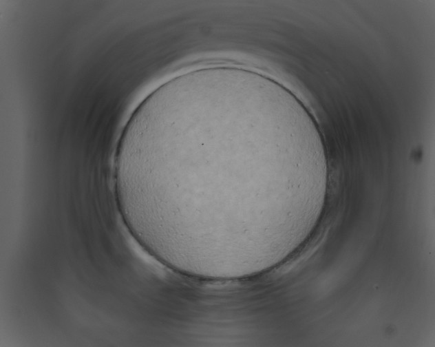 X0000089431535200707131833