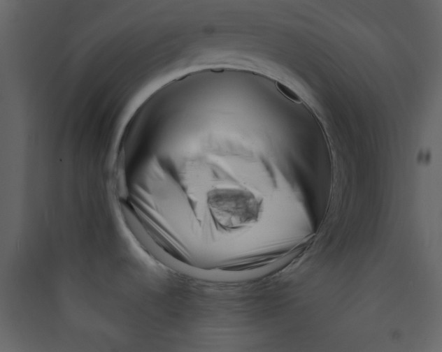 X0000089431536200707131833