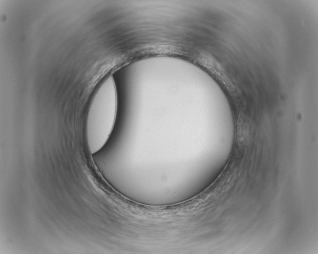 X0000089440014200706151023