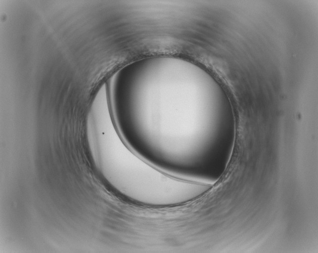 X0000089440017200706151023