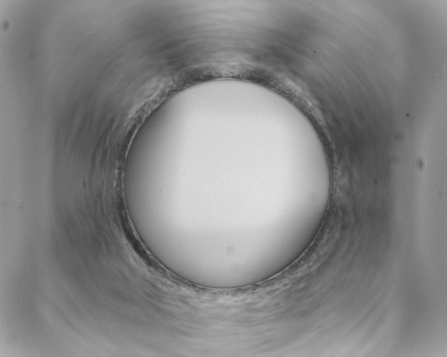 X0000089440018200706151023