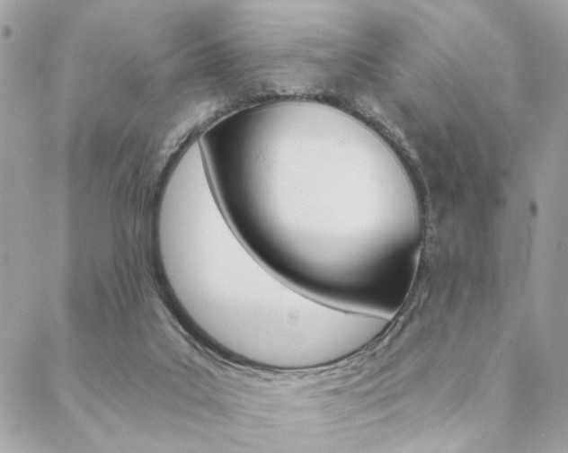 X0000089440019200706151022